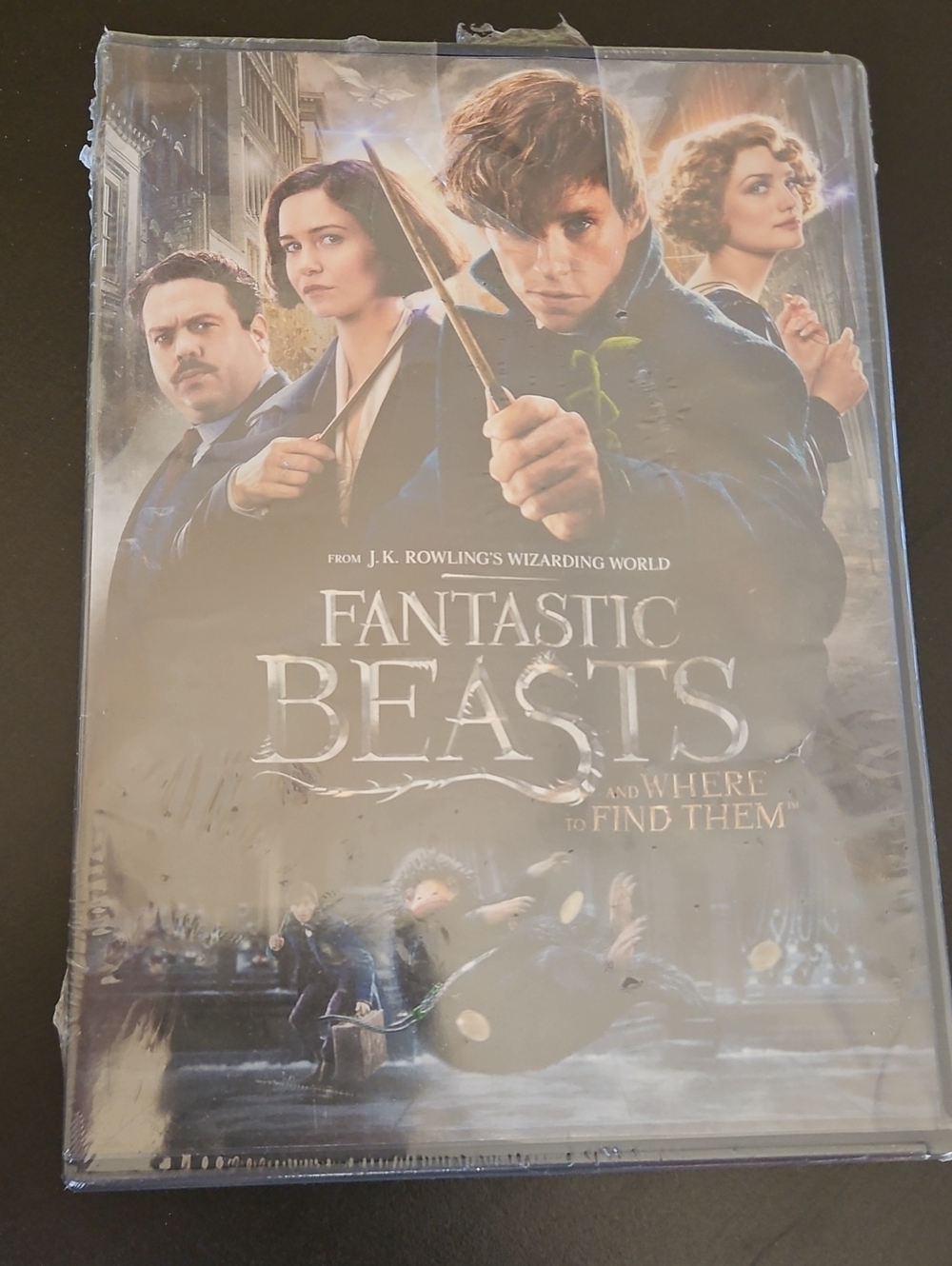 Fantastic Beasts and Where to Find Them DVD - Blue/Gray Artwork